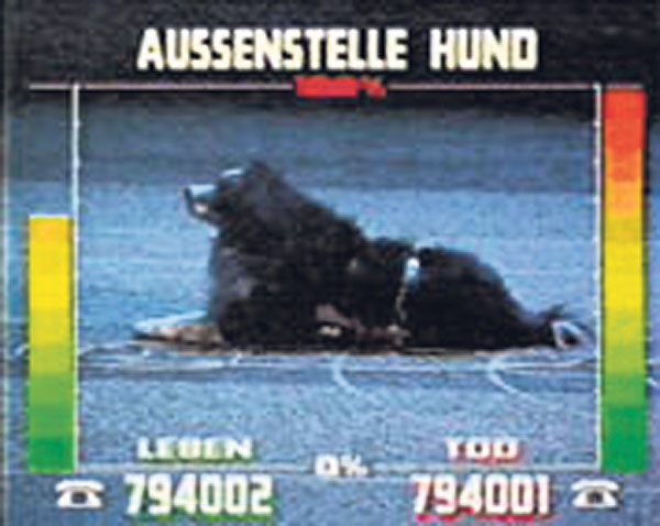 history:hund.jpg